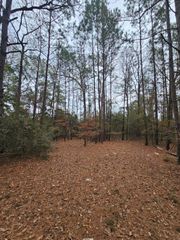 263 Wishing Trail, Livingston, TX 77351