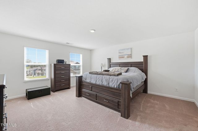 816 Magnolia Ridge Drive, Blountville, TN 37617