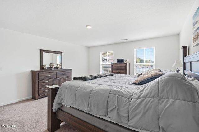 816 Magnolia Ridge Drive, Blountville, TN 37617