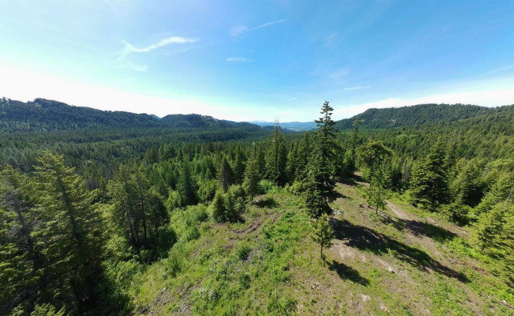 1261 Outback Ln, Usk, WA 99180 photo 11