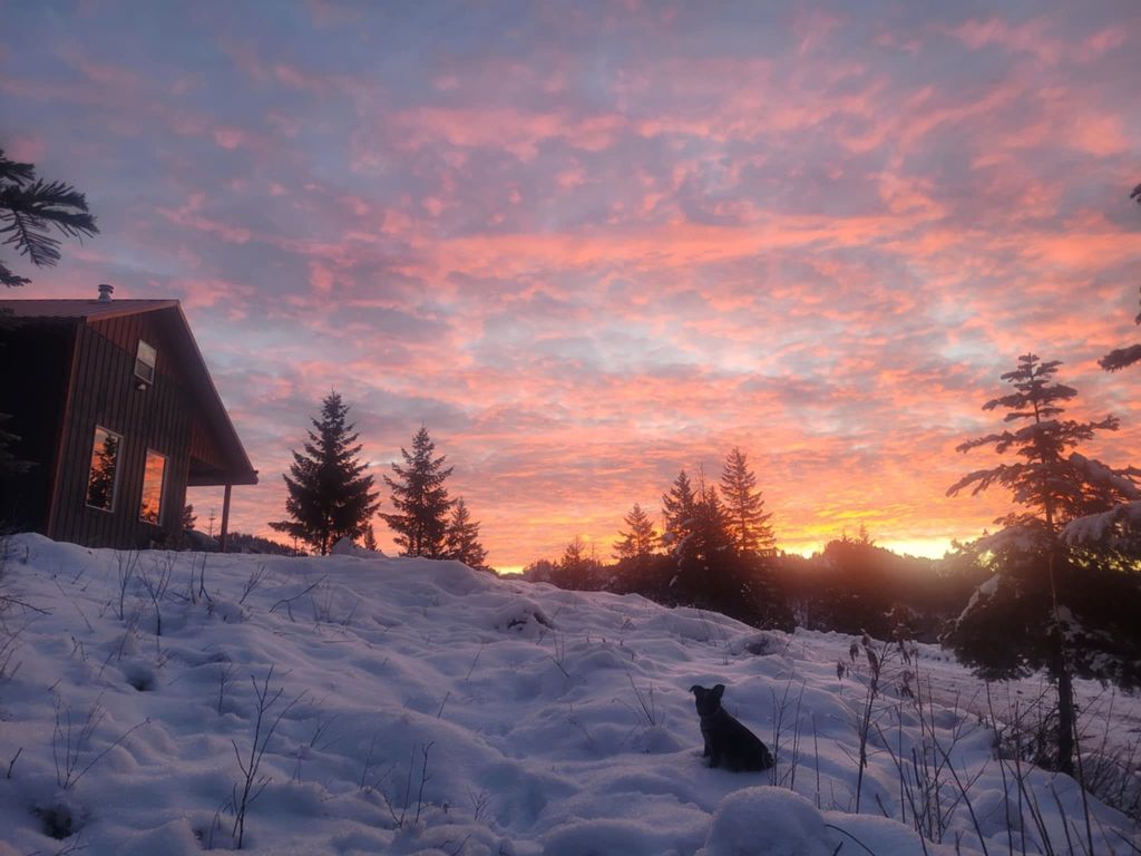 1261 Outback Ln, Usk, WA 99180 photo 36