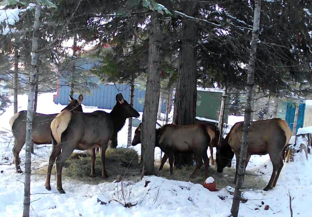 1261 Outback Ln, Usk, WA 99180 photo 42