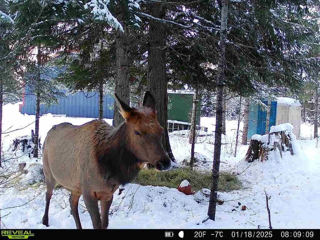 1261 Outback Ln, Usk, WA 99180 photo 43