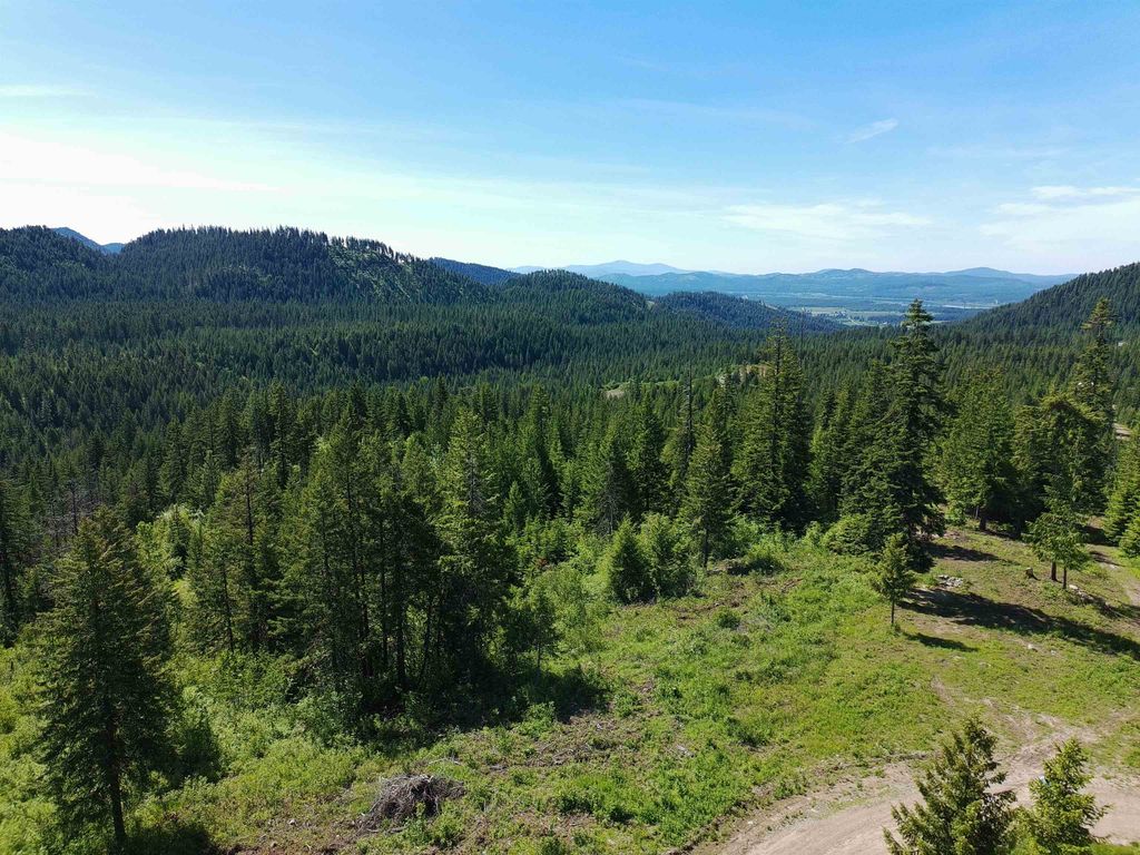 1261 Outback Ln, Usk, WA 99180 photo 6