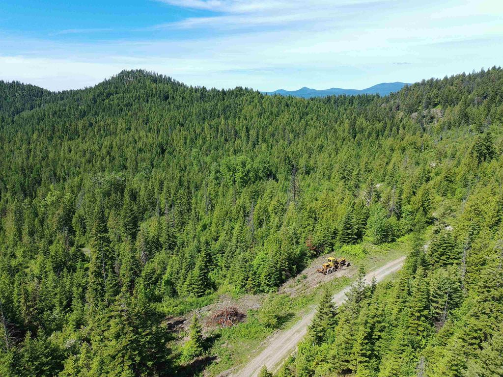 1261 Outback Ln, Usk, WA 99180 photo 7