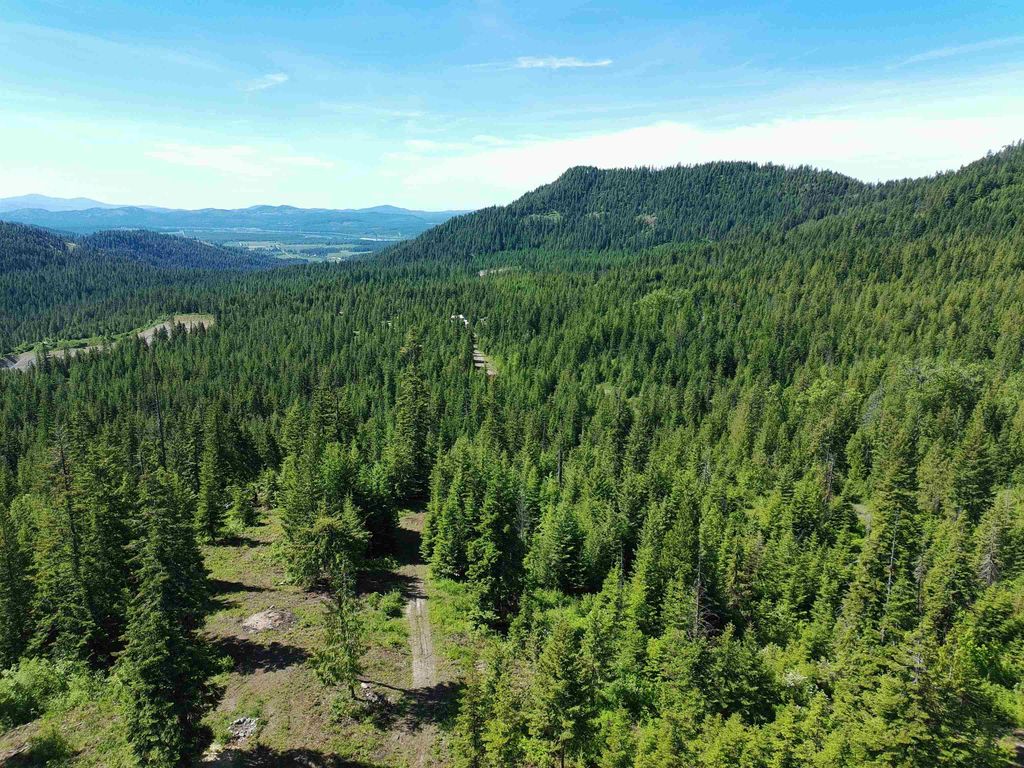 1261 Outback Ln, Usk, WA 99180 photo 8