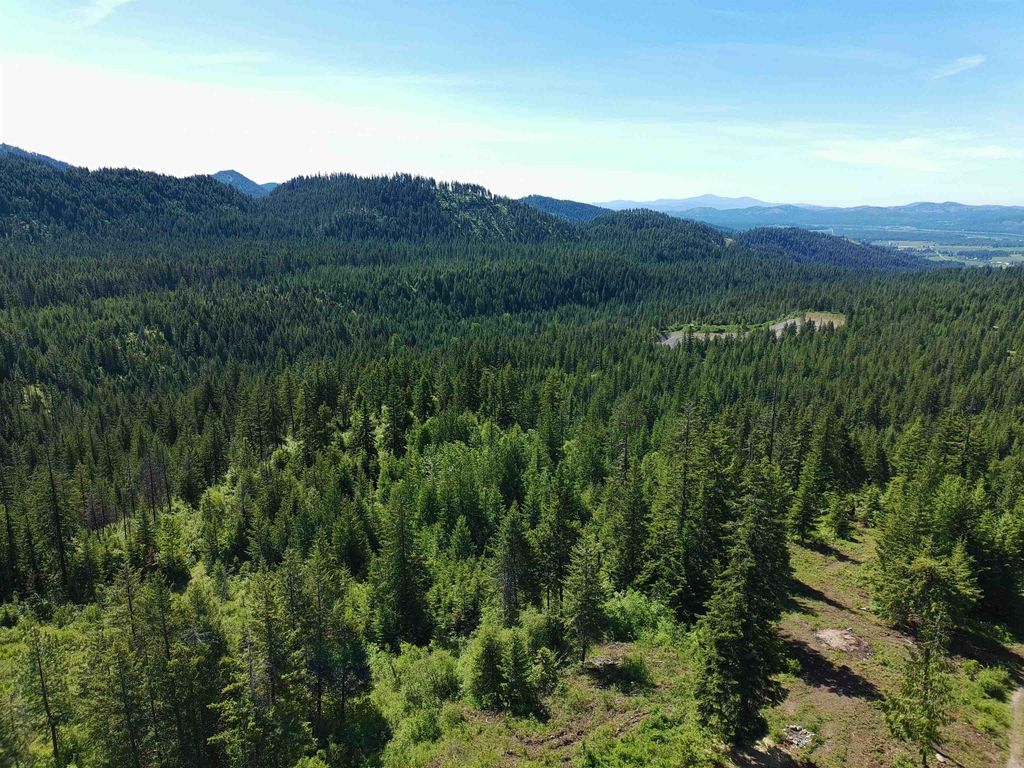 1261 Outback Ln, Usk, WA 99180 photo 9