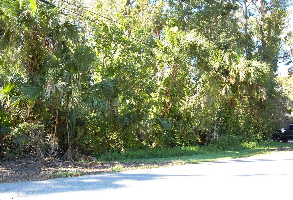 Image 1 of property listing at 332 PATRICIA DRIVE, New Smyrna Beach, FL 32168