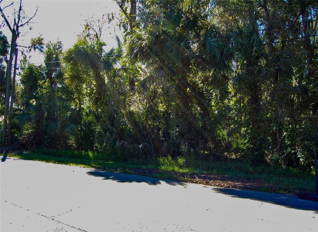 Image 2 of property listing at 332 PATRICIA DRIVE, New Smyrna Beach, FL 32168