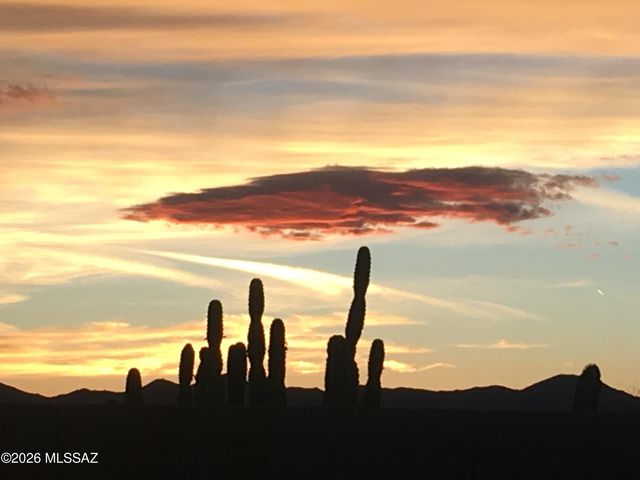 60594 E Blackcrest Loop, Tucson, AZ 85739