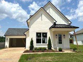 3925 Swan Cove, Hernando, MS 38632