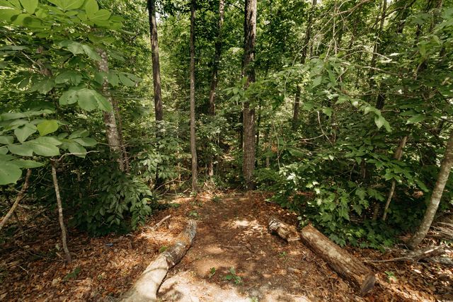 272 Cowboy Lane, Wellington, KY 40387