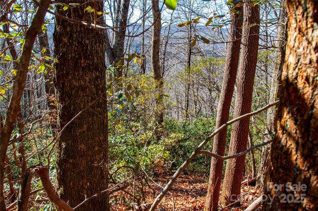 Lot 18 Joshua Road, Rosman, NC 28772