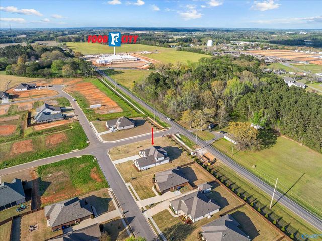 17592 Carillon Drive, Athens, AL 35611