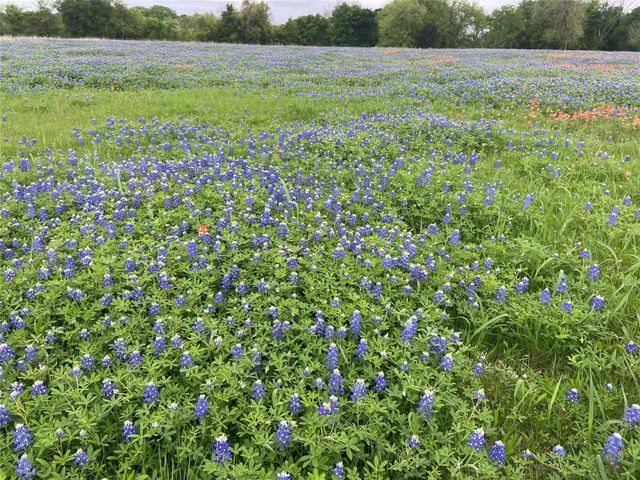 254 N Cooke Road, Ennis, TX 75119