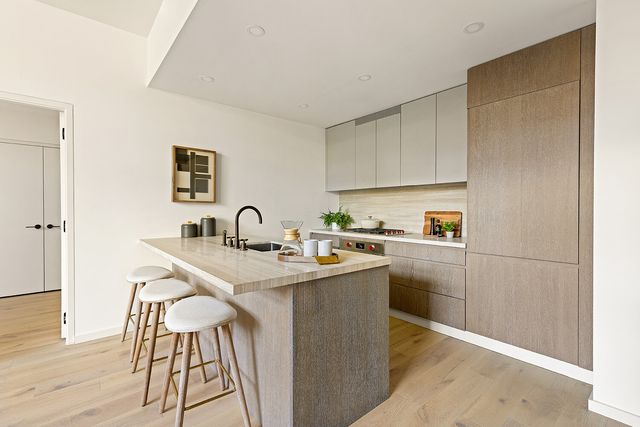 66 CLINTON Street MAISONETTE, New York City, NY 10002