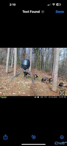 215 Wilson Road, Scottsboro, AL 35769
