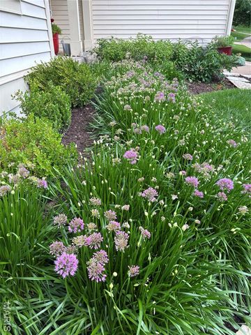 563 Beacon Point Lane, Wildwood, MO 63040