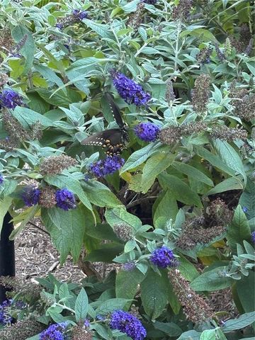 563 Beacon Point Lane, Wildwood, MO 63040