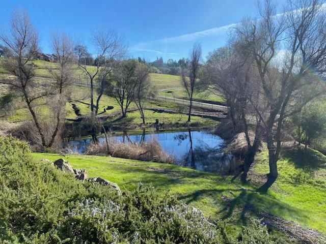 3781 Cattle Dr, Shingle Springs, CA 95682