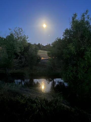 3781 Cattle Dr, Shingle Springs, CA 95682