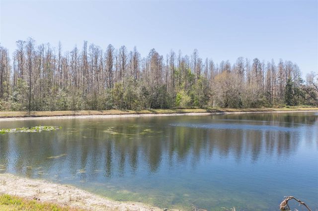 31154 FLANNERY COURT, Wesley Chapel, FL 33543