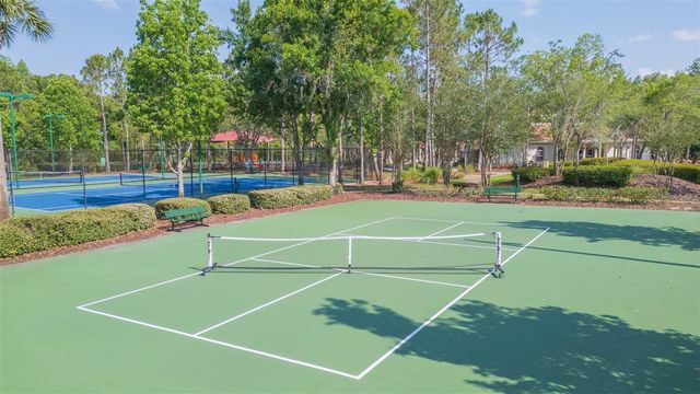 31154 FLANNERY COURT, Wesley Chapel, FL 33543