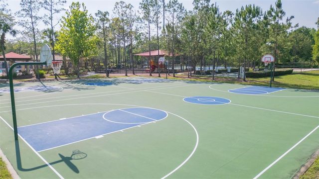 31154 FLANNERY COURT, Wesley Chapel, FL 33543