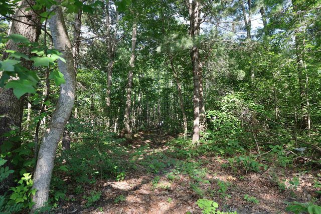 TBD COLD SPRINGS RD, Greenville, VA 24440