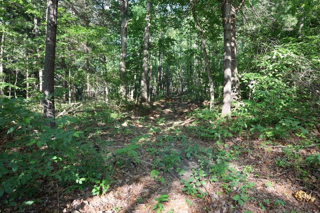 TBD COLD SPRINGS RD, Greenville, VA 24440