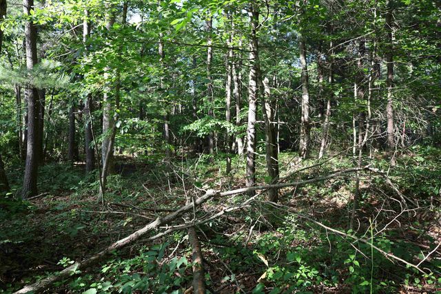 TBD COLD SPRINGS RD, Greenville, VA 24440