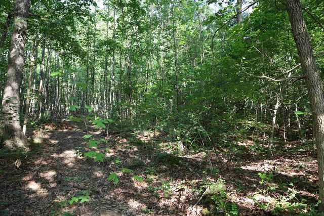 TBD COLD SPRINGS RD, Greenville, VA 24440