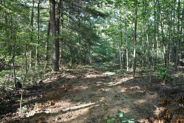 TBD COLD SPRINGS RD, Greenville, VA 24440