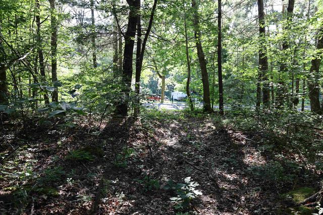 TBD COLD SPRINGS RD, Greenville, VA 24440