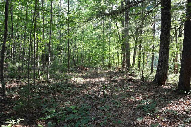 TBD COLD SPRINGS RD, Greenville, VA 24440