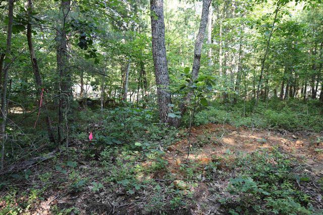 TBD COLD SPRINGS RD, Greenville, VA 24440