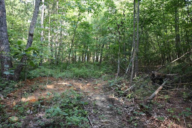 TBD COLD SPRINGS RD, Greenville, VA 24440
