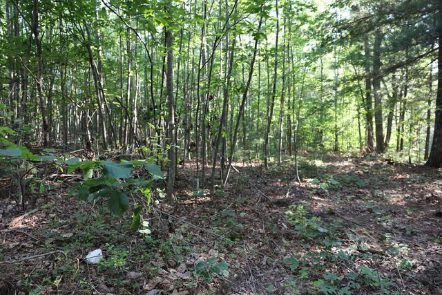TBD COLD SPRINGS RD, Greenville, VA 24440