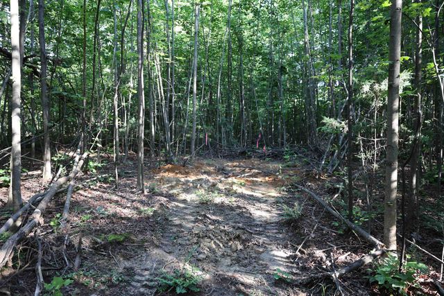 TBD COLD SPRINGS RD, Greenville, VA 24440