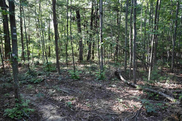 TBD COLD SPRINGS RD, Greenville, VA 24440