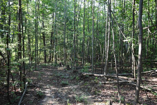 TBD COLD SPRINGS RD, Greenville, VA 24440