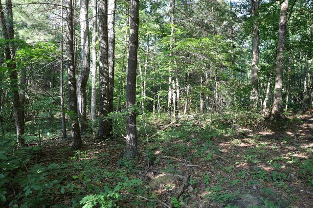 TBD COLD SPRINGS RD, Greenville, VA 24440
