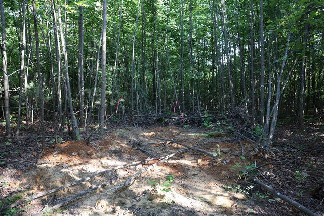 TBD COLD SPRINGS RD, Greenville, VA 24440