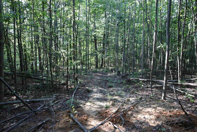 TBD COLD SPRINGS RD, Greenville, VA 24440