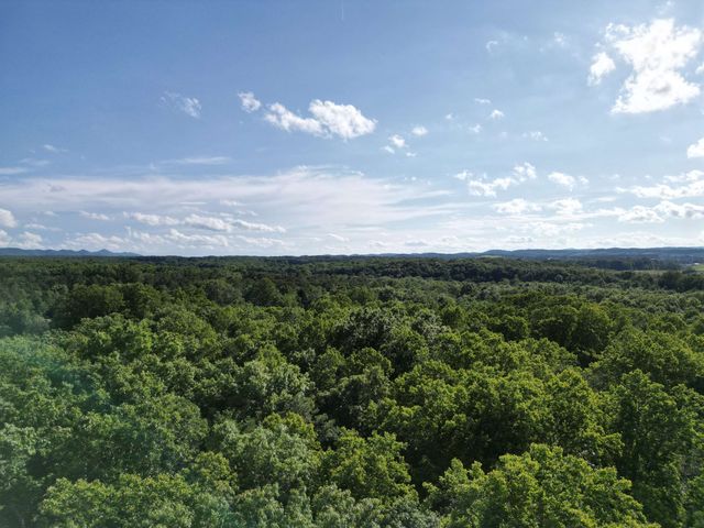 TBD COLD SPRINGS RD, Greenville, VA 24440