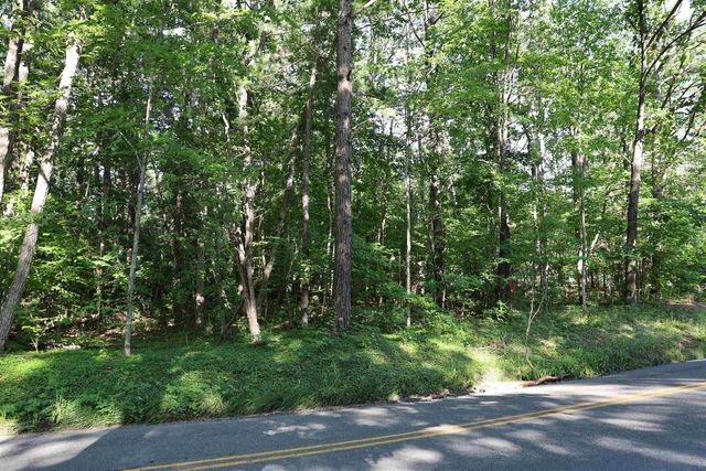 TBD COLD SPRINGS RD, Greenville, VA 24440