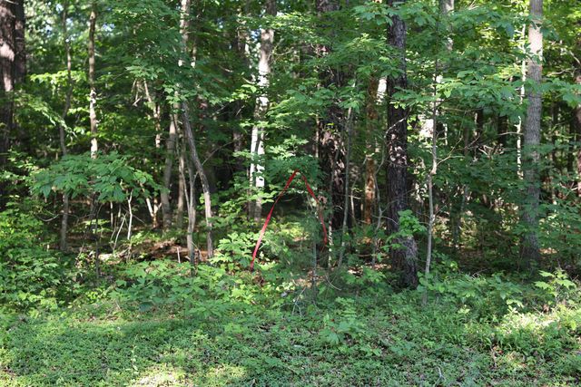 TBD COLD SPRINGS RD, Greenville, VA 24440