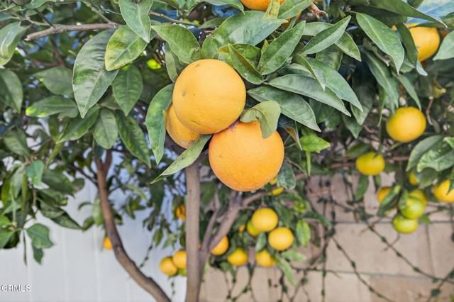 1327 Johnson Drive, Ventura, CA 93003