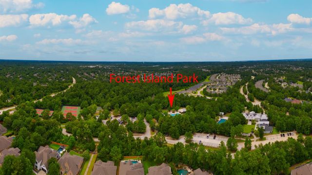 237 N Carson Cub Court, Montgomery, TX 77316