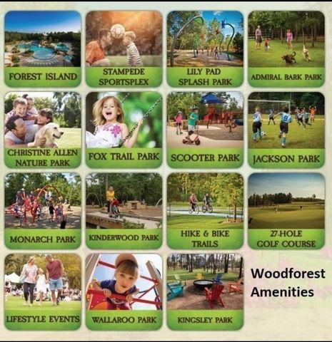 237 N Carson Cub Court, Montgomery, TX 77316